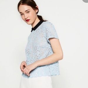 Zara Collared Lace Blouse